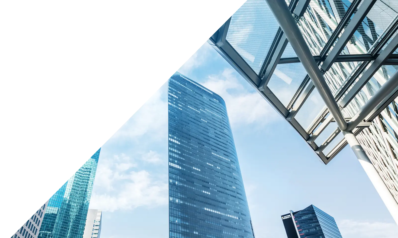 会社情報
